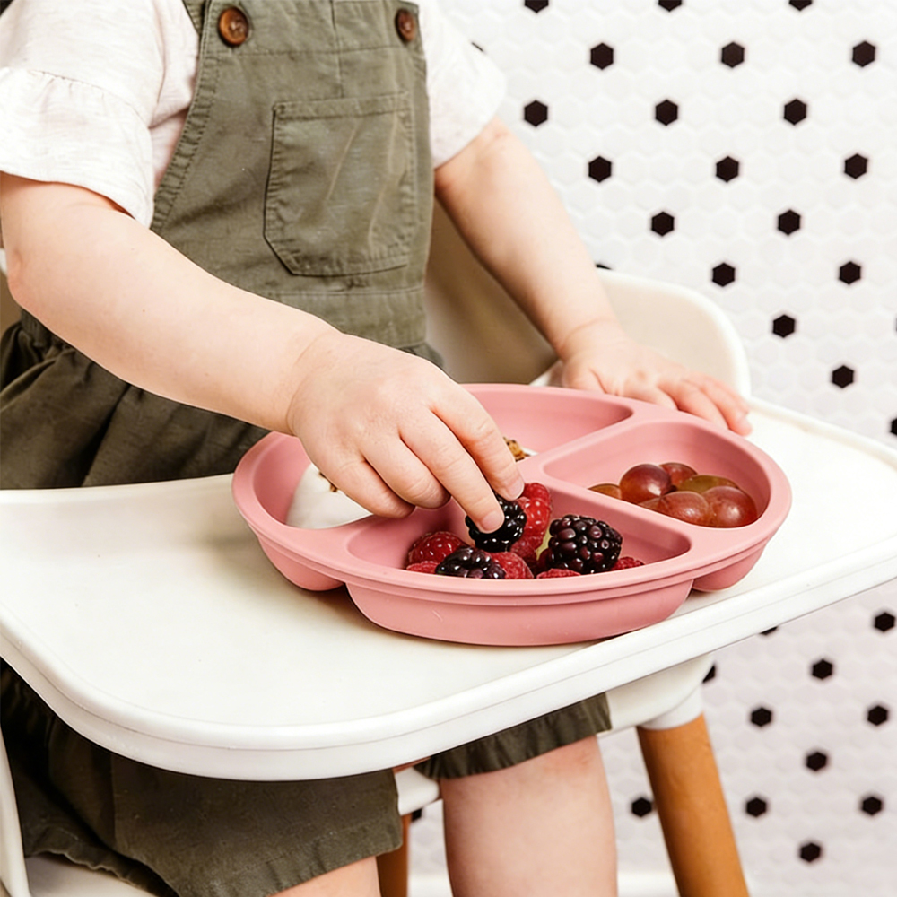 Baby Led Weaning Set - 1 Pack Toddler Plate, Divided Suction