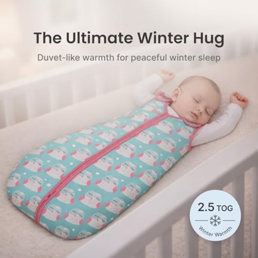 Baby Deedee Sleep Nest Tee - B - Baby Sleep Sack 리뷰 및 가격