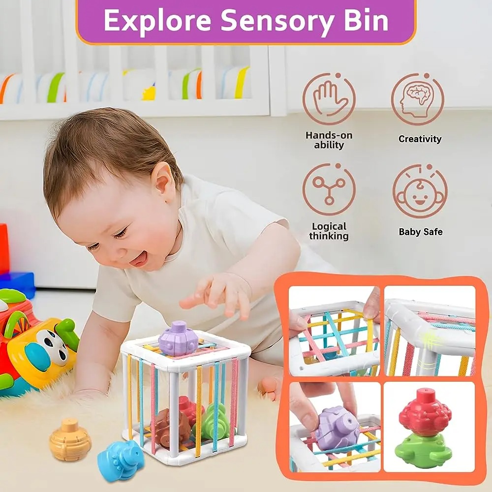 Rainbow Colorful Montessori Sh - Baby Products Toys 리뷰 및 가격