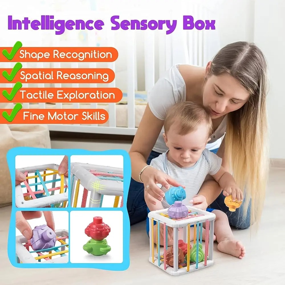 Rainbow Colorful Montessori Sh - Baby Products Toys 리뷰 및 가격