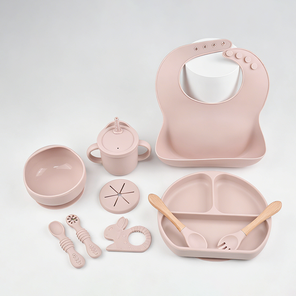 9PCS Baby Silicone Feeding Set - Baby Led Weaning Set 리뷰 및 가격