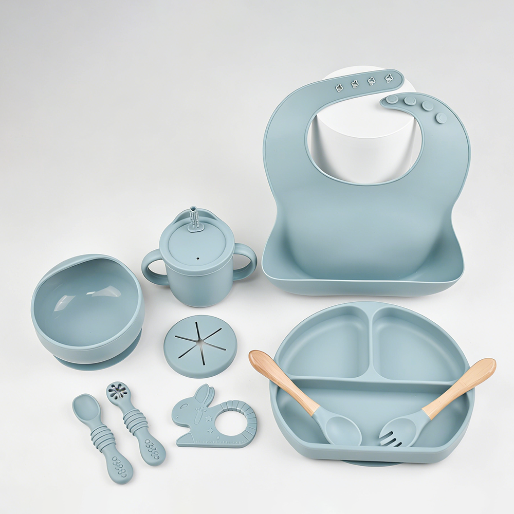 9PCS Baby Silicone Feeding Set - Baby Led Weaning Set 리뷰 및 가격