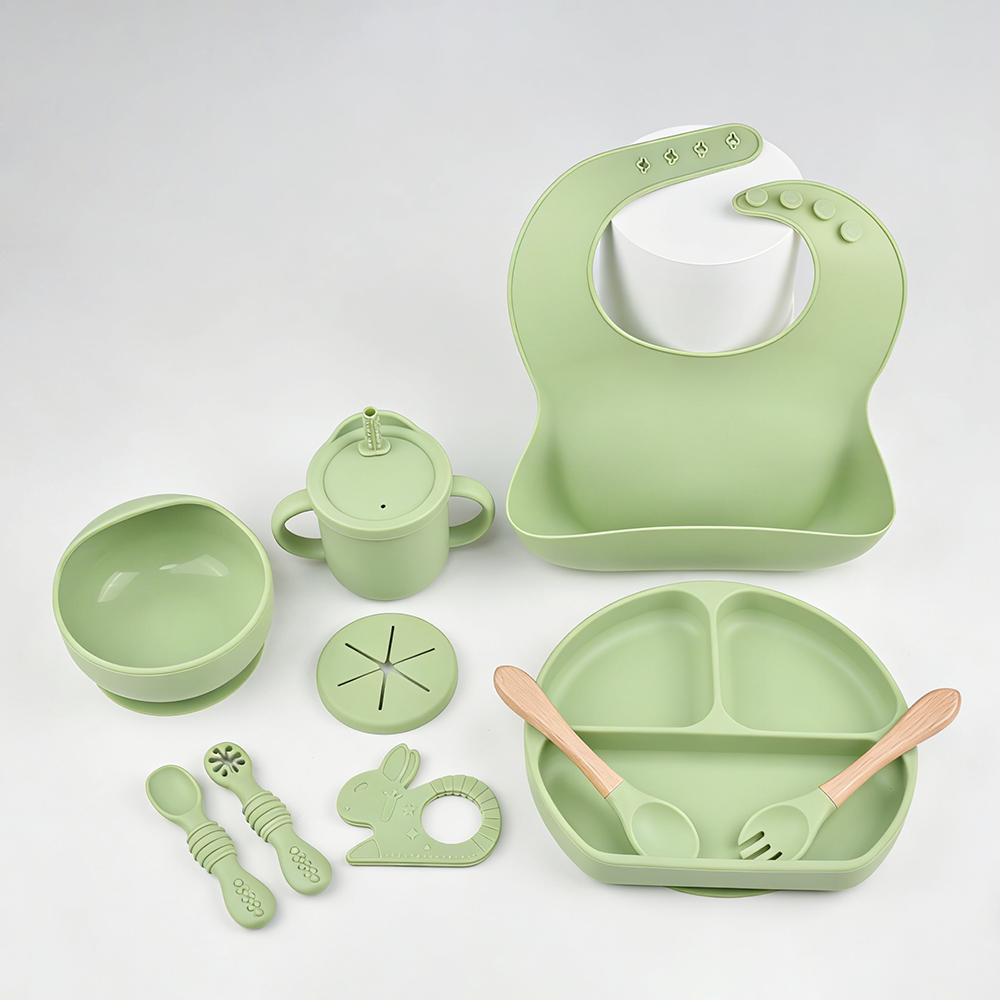 9PCS Baby Silicone Feeding Set - Baby Led Weaning Set 리뷰 및 가격